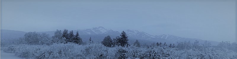 ���C�J�X�@LINE�����A�J�E���g�^�p�c�[���@LOYCUS���T�C�g